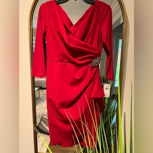 Red dress with stretchy fabric and distinctive ,three-quarter sleeves